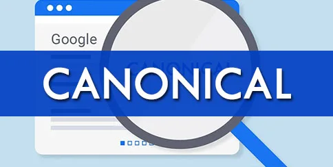 CANONICAL biblia del seo