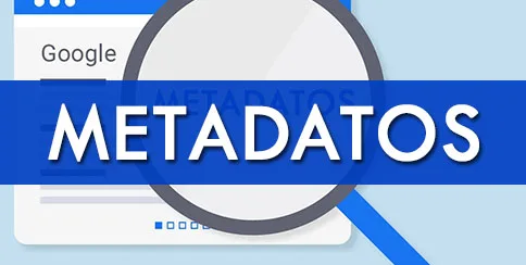 Metadatos biblia del seo