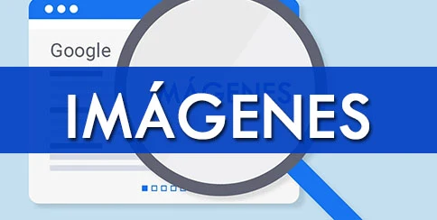 imagenes biblia del seo